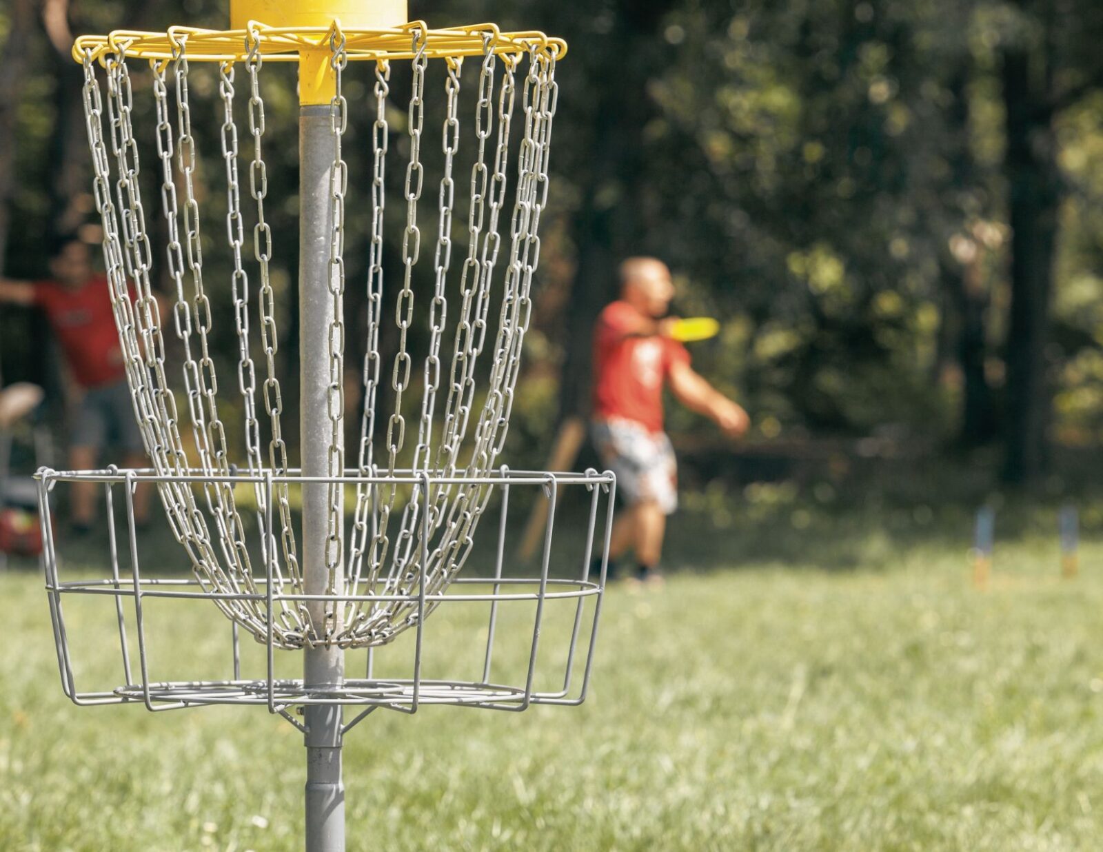 Proposed Disc Golf Course in Howell Road Park East - Town of Perinton